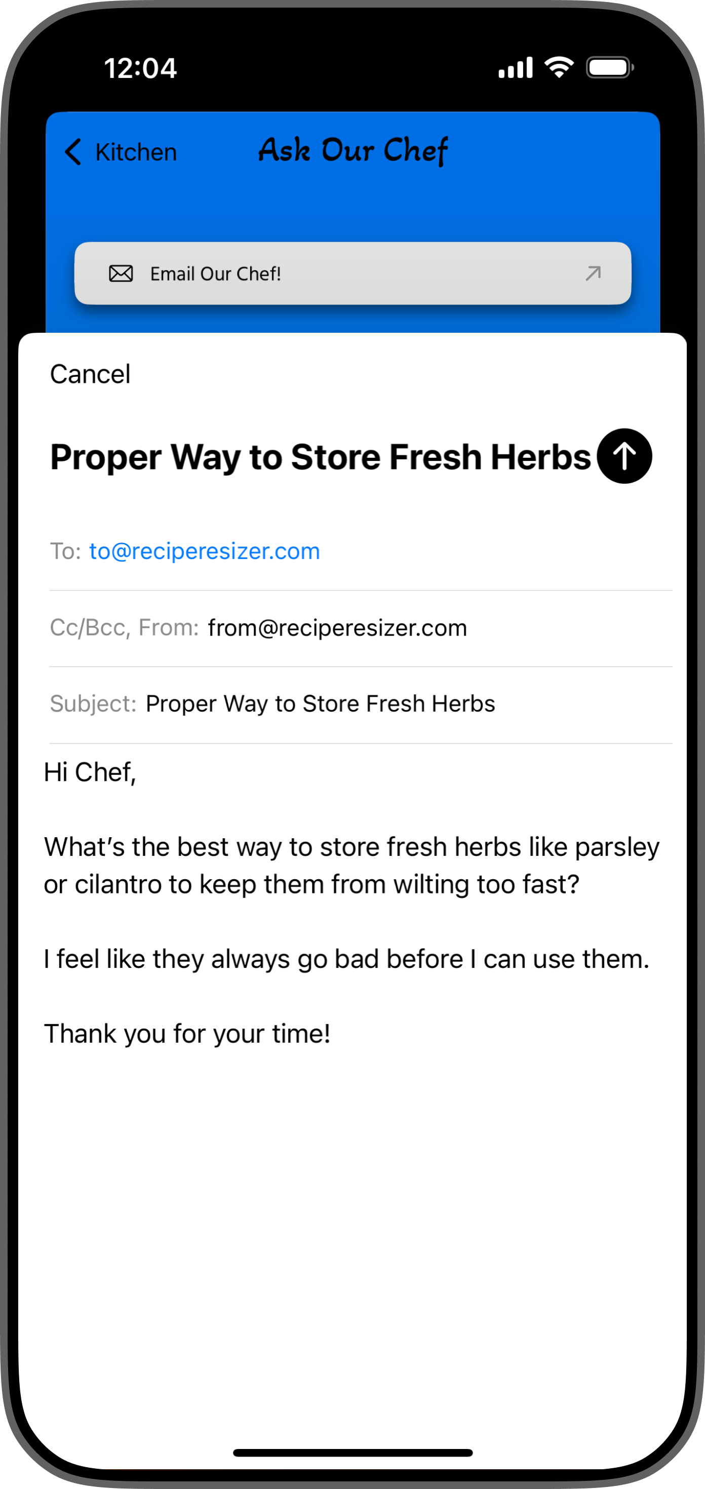 Recipe Resizer iPhone Screenshot
